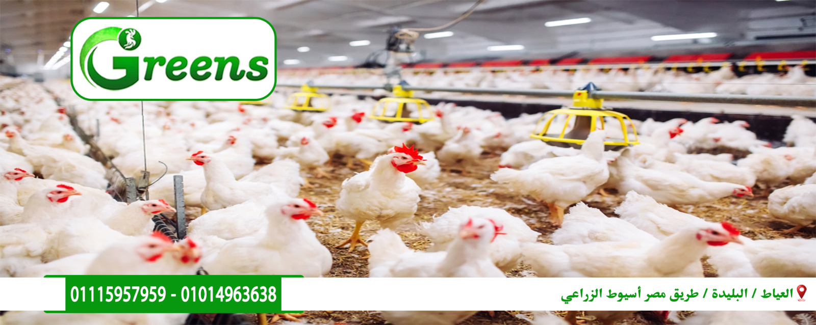 شركة جرينز للتوكيلات التجارية